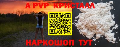 PSILOCYBIN Можга