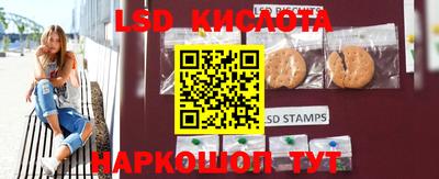 PSILOCYBIN Можга