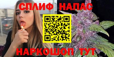 спайс Малгобек