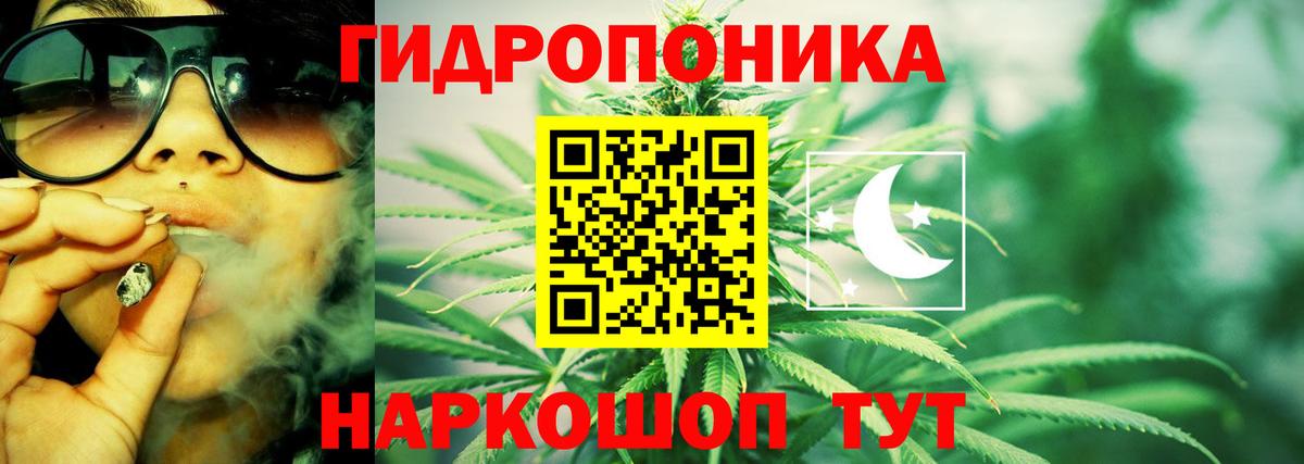 Славгород  Марихуана OG Kush  Каннабис конопля  Вход с VPN 